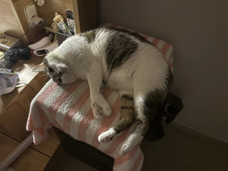 IMG_7628.jpeg